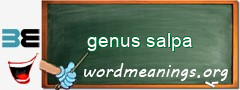 WordMeaning blackboard for genus salpa